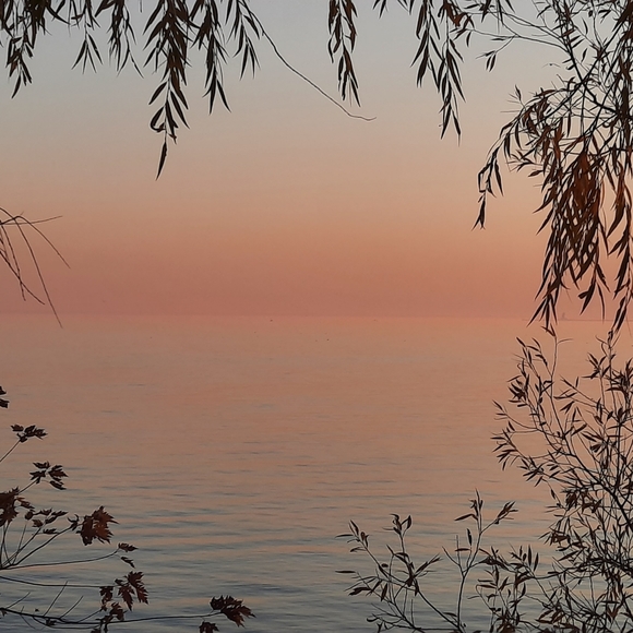 Meet your Posher, Camelia - Picture 1 of 3